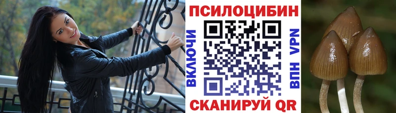 купить наркотик  Челябинск  Псилоцибиновые грибы Magic Shrooms 